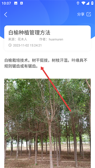 花木人