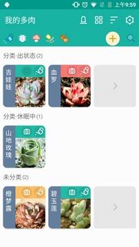 多肉成长记最新版
