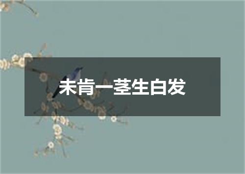 未肯一茎生白发