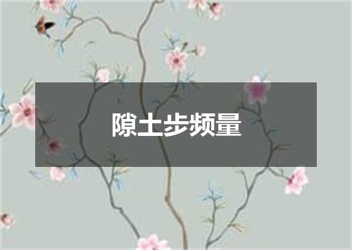 隙土步频量