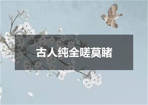 古人纯全嗟莫睹