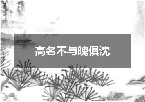 高名不与魄俱沈