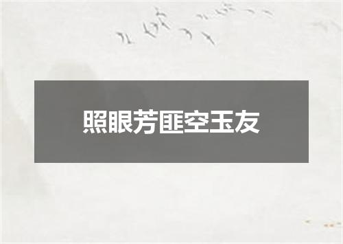 照眼芳匪空玉友