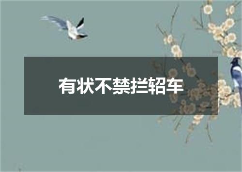 有状不禁拦轺车