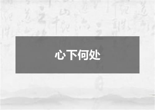 心下何处