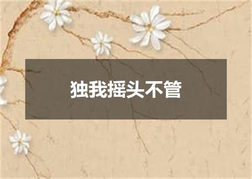 独我摇头不管