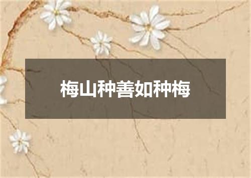 梅山种善如种梅