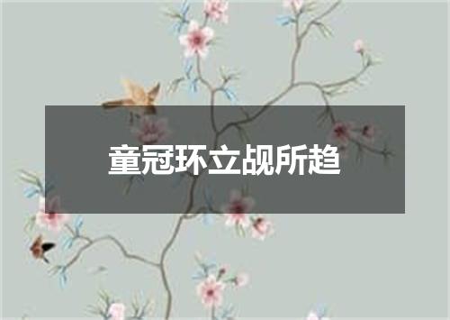 童冠环立觇所趋