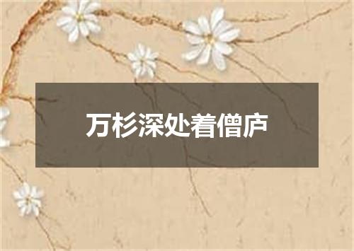 万杉深处着僧庐