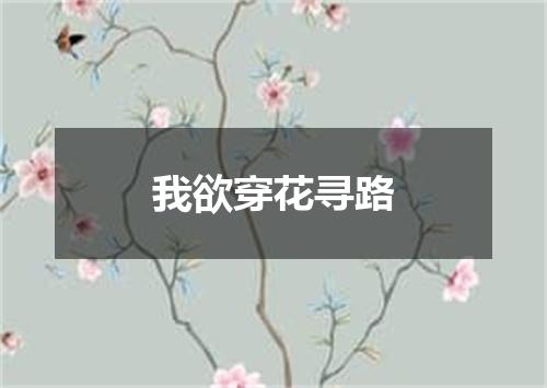 我欲穿花寻路