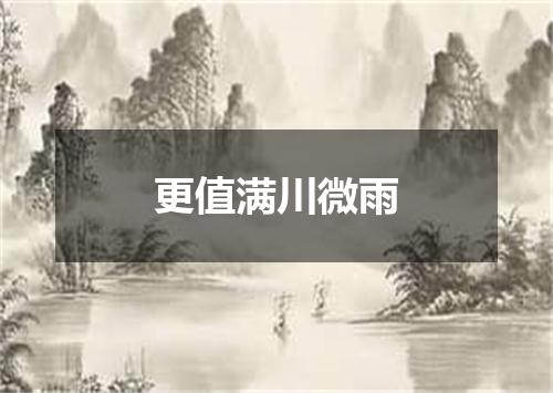 更值满川微雨