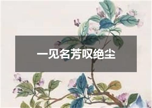 一见名芳叹绝尘
