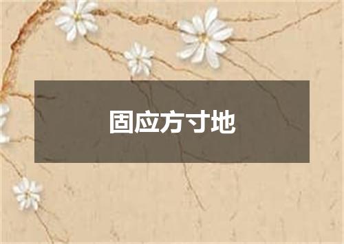 固应方寸地