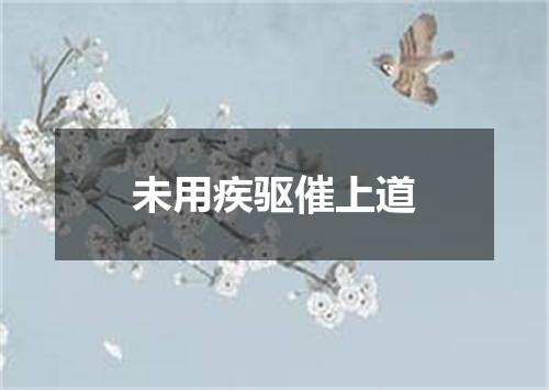 未用疾驱催上道