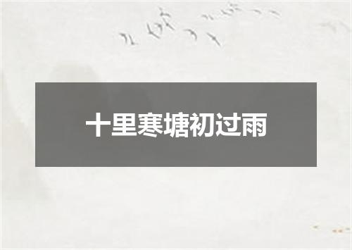 十里寒塘初过雨