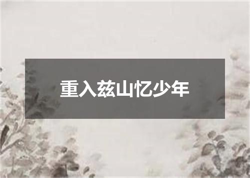 重入兹山忆少年