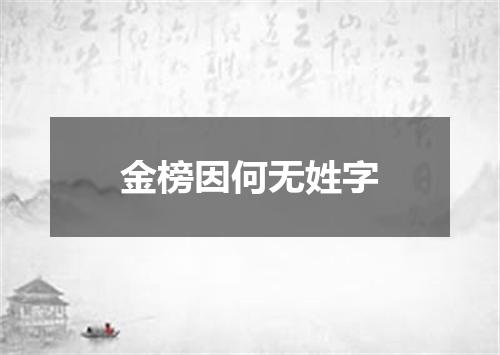 金榜因何无姓字