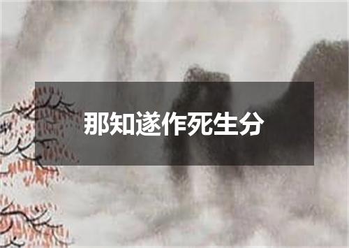 那知遂作死生分