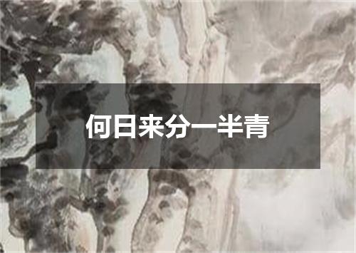 何日来分一半青