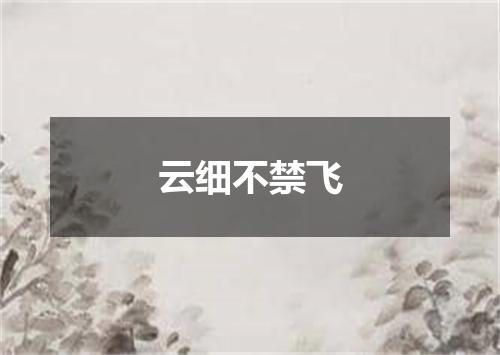 云细不禁飞