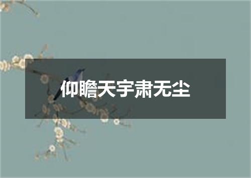 仰瞻天宇肃无尘