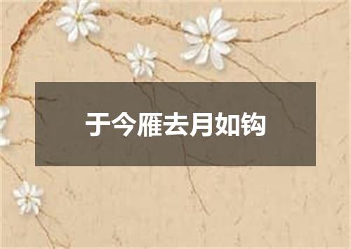 于今雁去月如钩