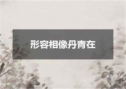 形容相像丹青在