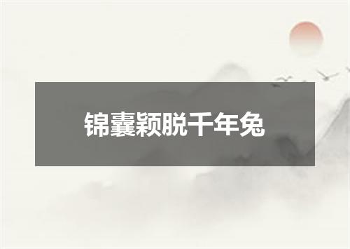 锦囊颖脱千年兔