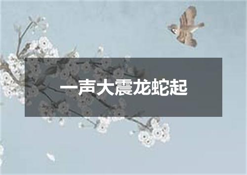 一声大震龙蛇起
