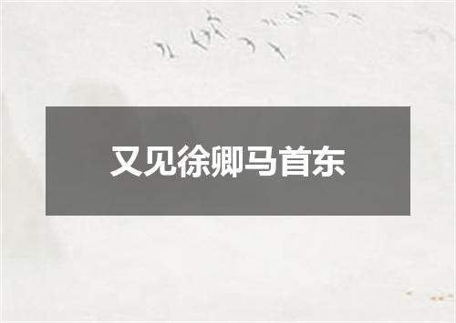 又见徐卿马首东