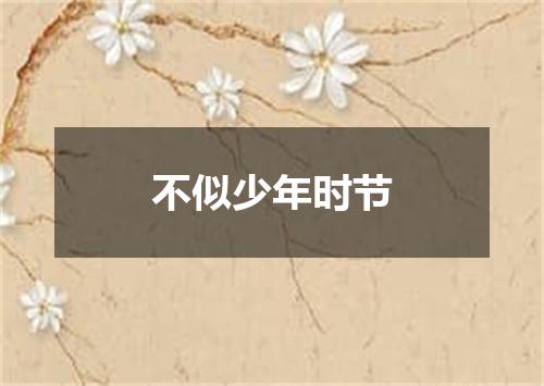 不似少年时节