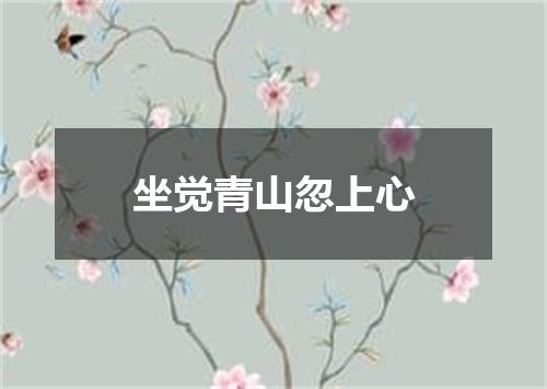 坐觉青山忽上心