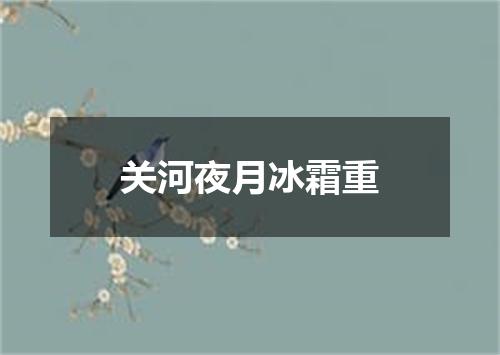 关河夜月冰霜重
