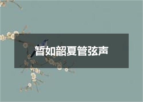 暂如韶夏管弦声