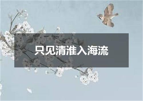 只见清淮入海流