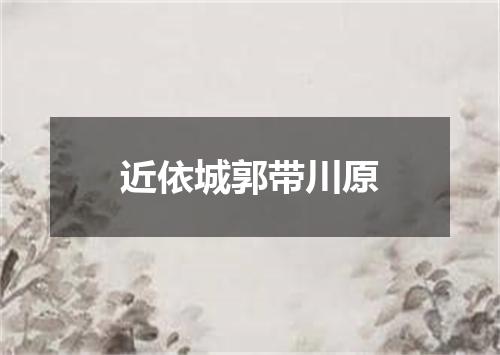 近依城郭带川原