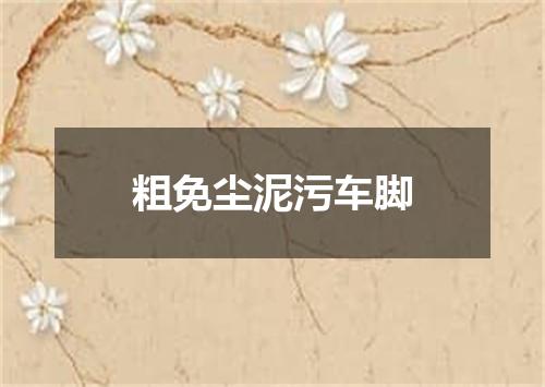 粗免尘泥污车脚