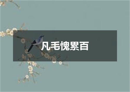 凡毛愧累百