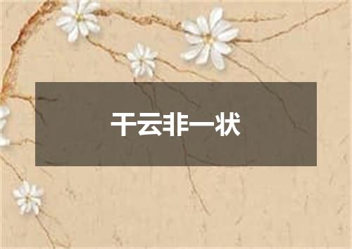干云非一状