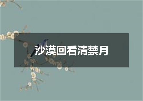 沙漠回看清禁月