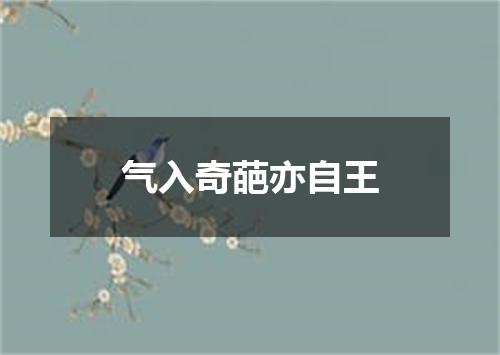 气入奇葩亦自王