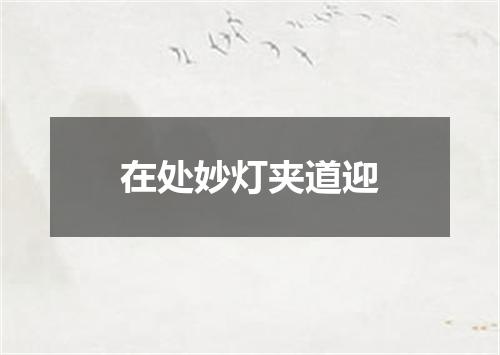 在处妙灯夹道迎