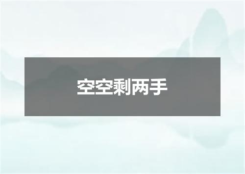 空空剩两手
