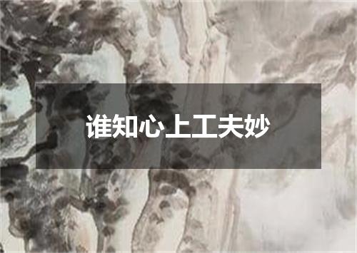 谁知心上工夫妙