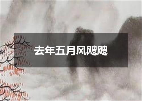 去年五月风飕飕