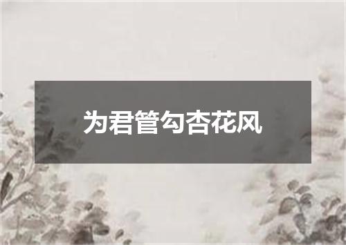 为君管勾杏花风