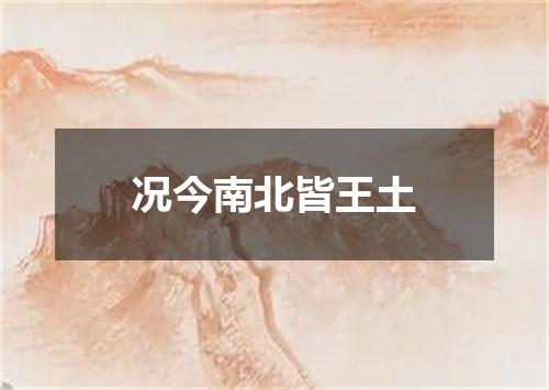 况今南北皆王土