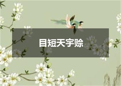 目短天宇赊