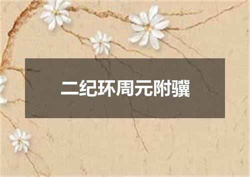 二纪环周元附骥