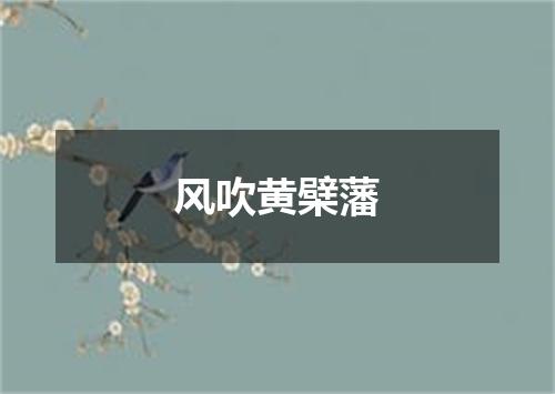 风吹黄檗藩